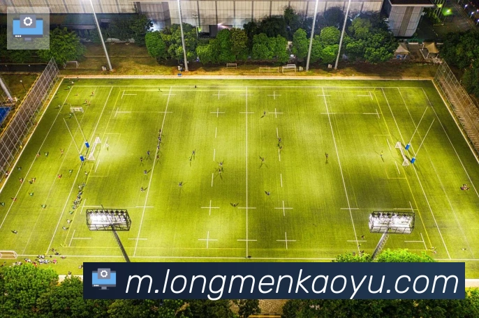 leyu乐鱼官方网站平台生态图