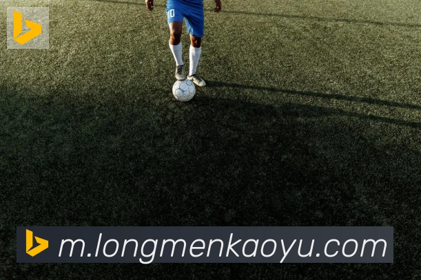 leyu乐鱼官方网站荣誉